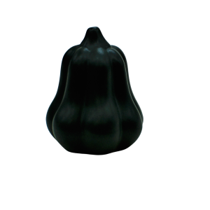 Patison duży (A447 DK5)