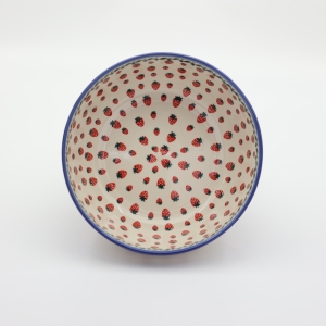 Miska / Salaterka z rantem 23 cm (A196 D139)    